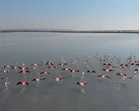 Lägenhet Oro Del Sol 73 Torrevieja