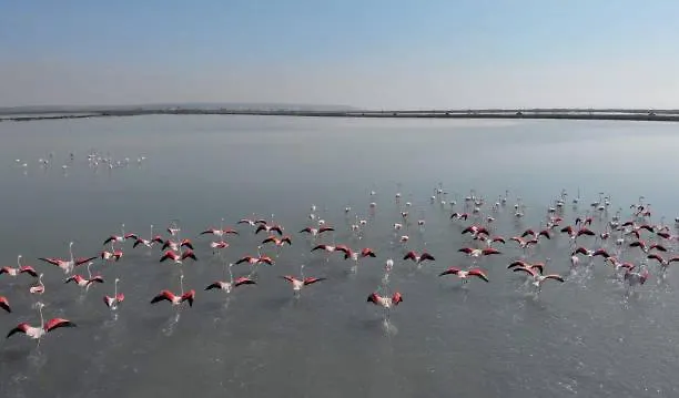 Appartement Oro Del Sol 73 Torrevieja