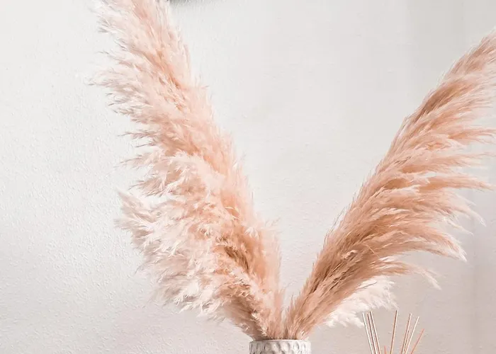 Oro Del Sol 73 Appartement